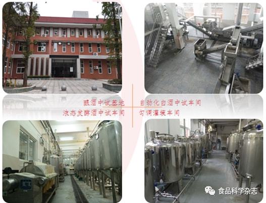 湖北工業(yè)大學食品科學與工程專業(yè) 生物工程與食品學院的卓越基石